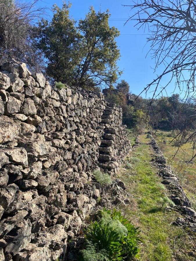Ragalna Villa Casina Dell'Etna المظهر الخارجي الصورة